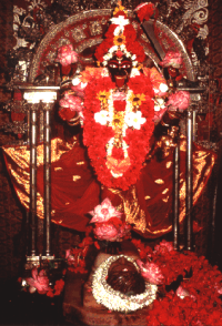 KALI.gif