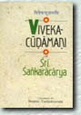 vive_tur405-8.jpg