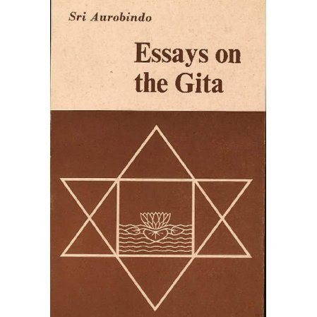 Essays on the Gita