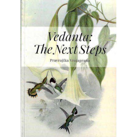 Vedanta: The Next Steps