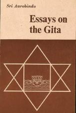 Essays on the Gita